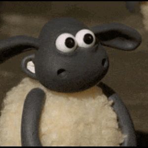 Meet your Posher, Marta